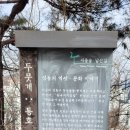 안정사터 마애불 명문 약사불 이미지