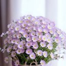 취미는운동 이미지