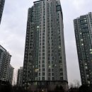 포도나무정형외과의원 이미지