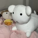 가나디 더현대 팝업스토어 | 가나디‘s 쿠킹클래스 후기 | 예약, 품절, 구매제한, 온라인 판매