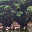 구룡공원입구 이미지