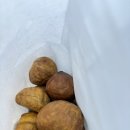 용산-이촌-31 | [이촌] 오마카세 <긴스시> 런치, 용산가족공원 카페 <카페언타이틀드>, 겉바속촉 에그타르트 <소재>