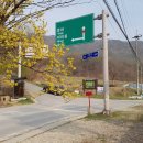 미라실로 이미지