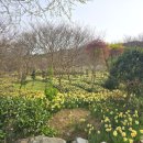 수성당경로당 이미지