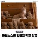 담기다스튜디오 | 아기 백일 스튜디오 촬영 마틴스쇼룸 인천점 내돈내산 후기