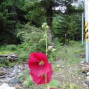 큰재 주차장 이미지