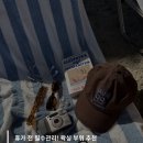 바이로움
