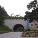 배창 이미지