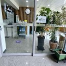 1004섬수석미술관 이미지