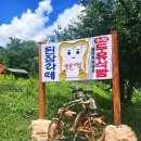 경기도 안성시 서운면사무소 | (안성) 가볼 만한 곳 청룡사 근처 디저트 애플망고빙수 풍물기행 한옥카페