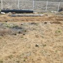 아부지농장 이미지