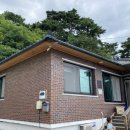 달빛바라기 이미지