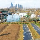 구룡부동산중개 이미지