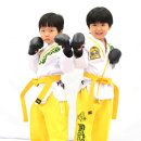 한국MTA태권도장 이미지