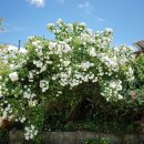 사계절 농장 이미지