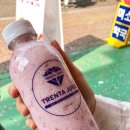 트렌타쥬스 이미지
