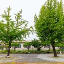 충주 비내캠프 체험학습장 티스토리