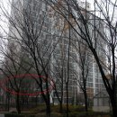 경기도 수원시 팔달구 덕영대로735번길 이미지