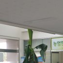 서대리농장 이미지