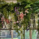 애니살롱 1호점 이미지