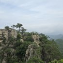 야시대로 이미지