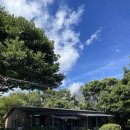 가경목장 맞은편  횡단보도 | [제주-맛집]제주 각지불 식당/각지불 오픈런/각지불 후기