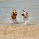 중광정리 화장실 이미지