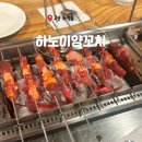 하노이양꼬치 | 고양 화정동, 하노이양꼬치 : 화정역 자주 가는 양꼬치 맛집 추천