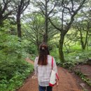 한진숙헤어샵 | [미용실후기] 울산 동구 히피펌성지 재방문 솔직후기, 한진숙헤어샵