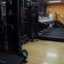 클린바디짐 이미지