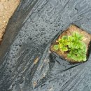 효기농장 이미지