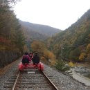 레일바이크 이미지