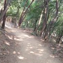 태왕봉 일기3-둘레길 쓸다 이미지