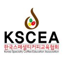 [공지] 2025 구례산수유꽃축제 핸드드립 커피부스 후기/한국스페셜티커피교육협회 KSCEA