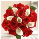 다섯손가락 이미지