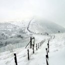 *2024년2월4일. 첫째주일요일(소백산1,439m(단양)접수안내 이미지