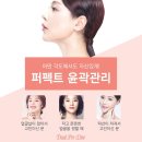 디피엘 이미지