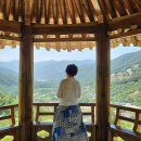 정금마을 차밭 앞 이미지