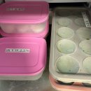 타파웨어 | 냉동실정리 끝판왕, 이유식큐브 보관 용기 추천 <타파웨어 아이스스마트> 내돈내산 실사용 후기