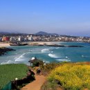 선일교통(주) 이미지