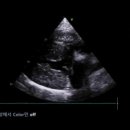 (주)동우메디칼시스템 이미지