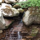 하늘빛계곡 야영장 이미지