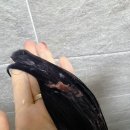 비녀미용실 - 홍천군 | 향좋은 헤어팩 추천 피노브 무화 히팅헤어팩 무화과향 손상모케어 후기