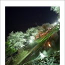 모전천 이미지