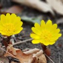 찬물내기