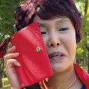 바니베어뮤지엄 이미지