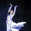 태양의 축제 이미지