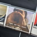 쌍용자동차하나로 | 24.05-06 독일여행 DAY6 [에센]