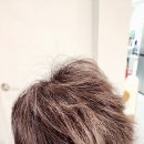 파워디렉터UCC 활용 | 레커바버샵 모이포마드,하루종일 유지되는 고정력