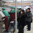 닭공장 국민일보